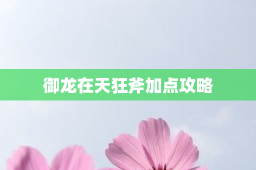 御龙在天狂斧加点攻略图片
