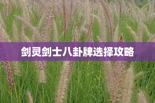 剑灵剑士八卦牌选择攻略图片