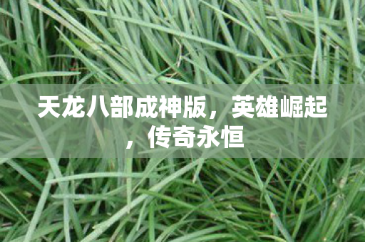 天龙八部成神版图片