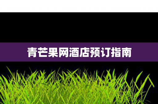 青芒果网酒店预订指南图片