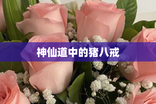 神仙道中的猪八戒图片