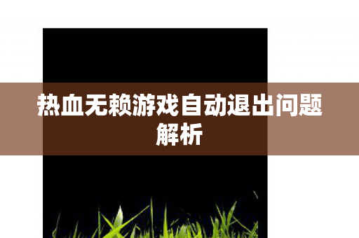 热血无赖游戏自动退出问题解析图片