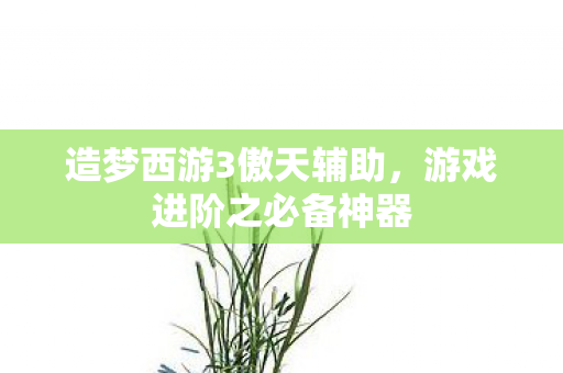 造梦西游3傲天辅助图片