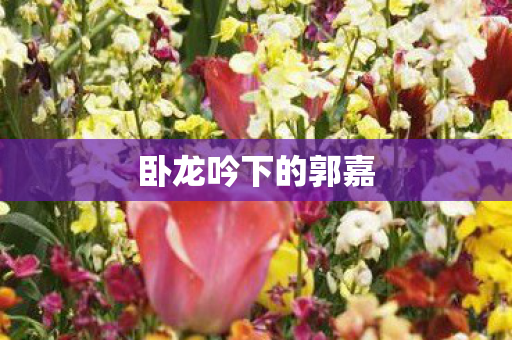 卧龙吟下的郭嘉图片