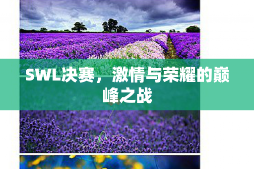 激情与荣耀的巅峰之战图片