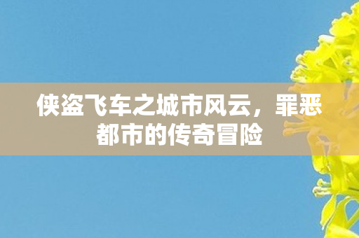 侠盗飞车之城市风云图片