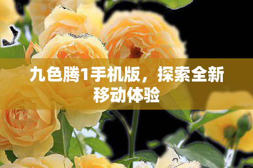 探索全新移动体验图片
