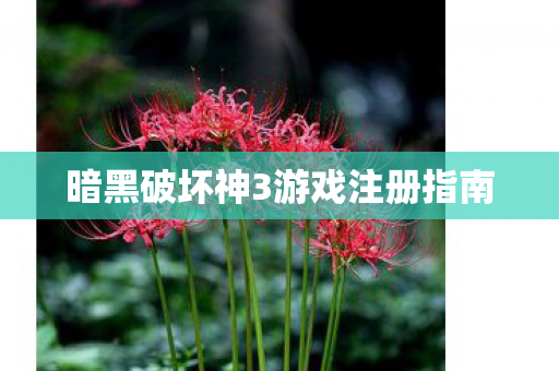 暗黑破坏神3游戏注册指南图片