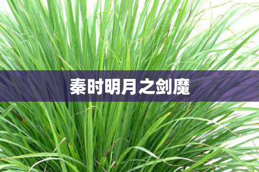 秦时明月之剑魔图片