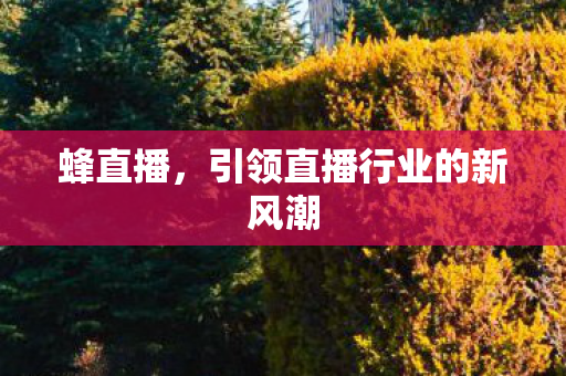 引领直播行业的新风潮图片