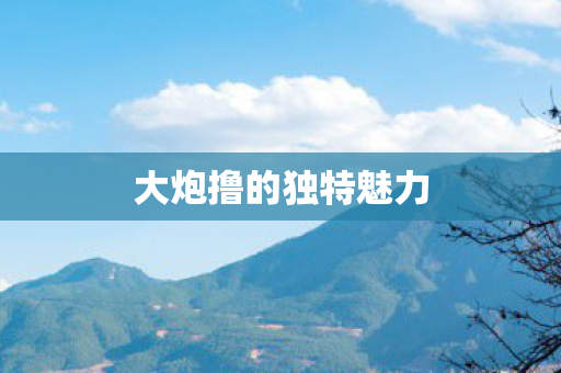 大炮撸的独特魅力图片