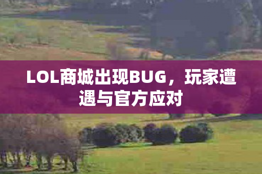 LOL商城出现BUG图片