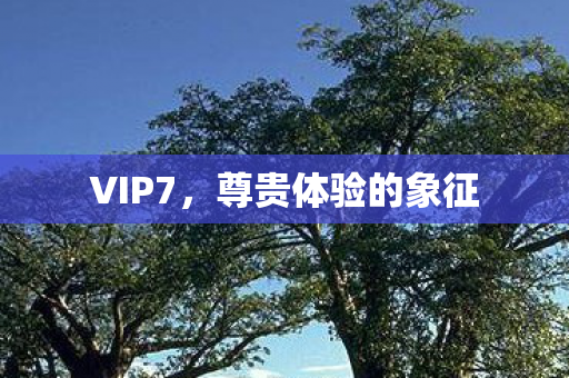 尊贵体验的象征图片