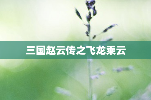 三国赵云传之飞龙乘云图片