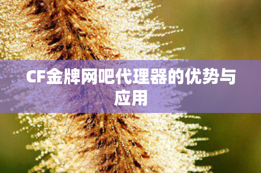 CF金牌网吧代理器的优势与应用图片