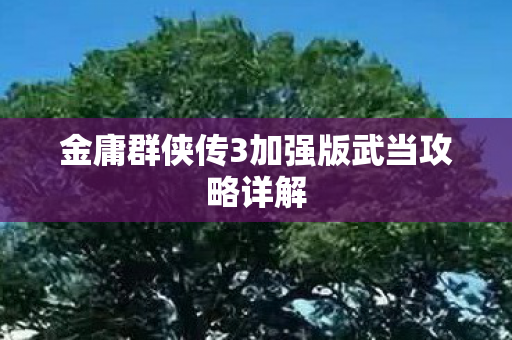 金庸群侠传3加强版武当攻略详解图片