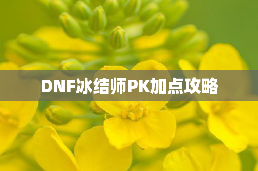 DNF冰结师PK加点攻略图片