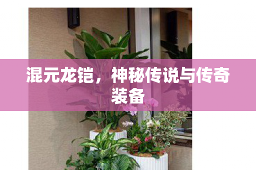 神秘传说与传奇装备图片