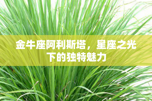 星座之光下的独特魅力图片