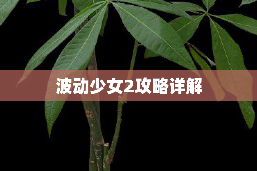 波动少女2攻略详解图片