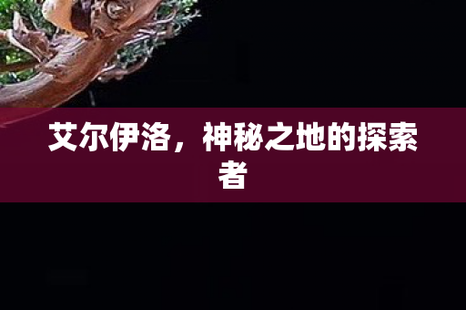 神秘之地的探索者图片