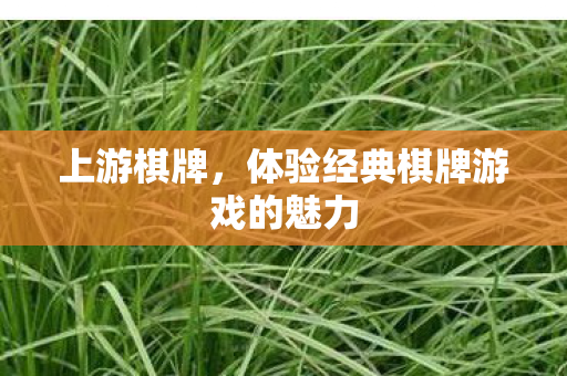 体验经典棋牌游戏的魅力图片