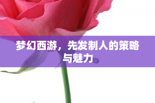 先发制人的策略与魅力图片