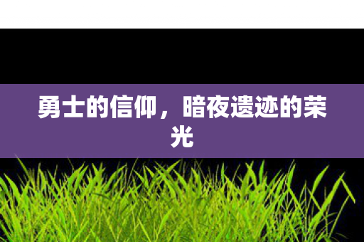 暗夜遗迹的荣光图片