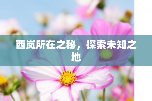 西岚所在之秘图片