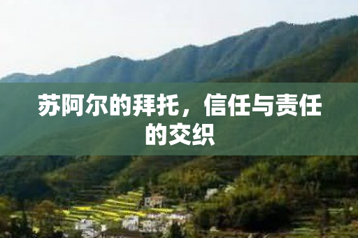 信任与责任的交织图片