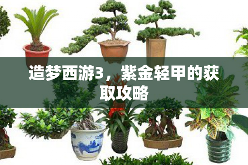 紫金轻甲的获取攻略图片