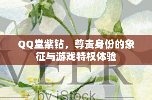 尊贵身份的象征与游戏特权体验图片