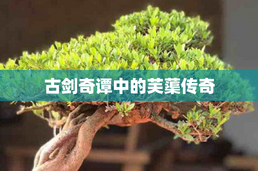 古剑奇谭中的芙蕖传奇图片
