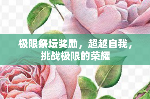 挑战极限的荣耀图片