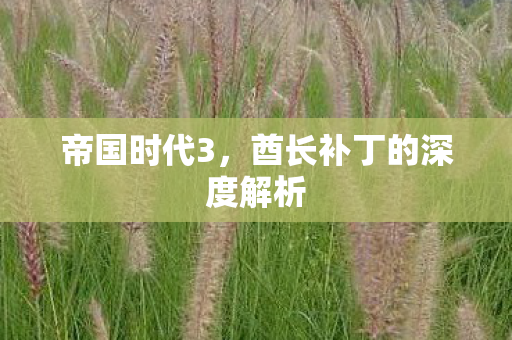 酋长补丁的深度解析图片