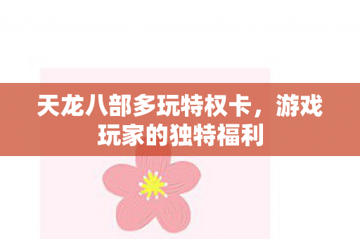 天龙八部多玩特权卡图片