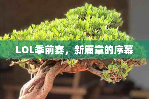 LOL季前赛图片