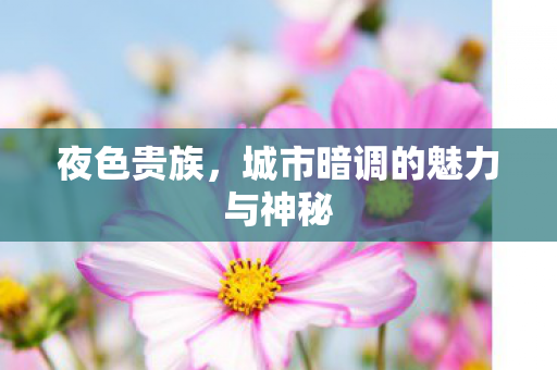 城市暗调的魅力与神秘图片