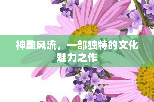 一部独特的文化魅力之作图片