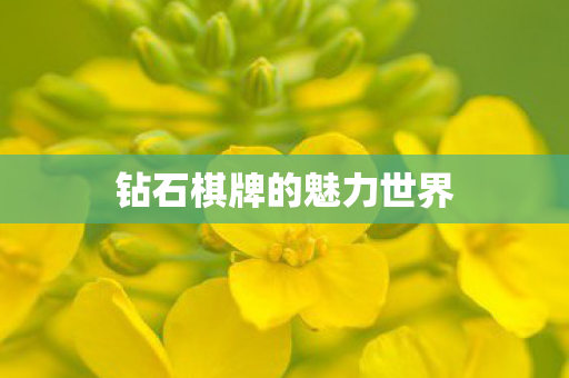 钻石棋牌的魅力世界图片