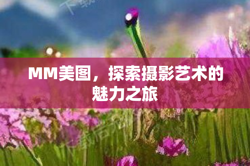 探索摄影艺术的魅力之旅图片