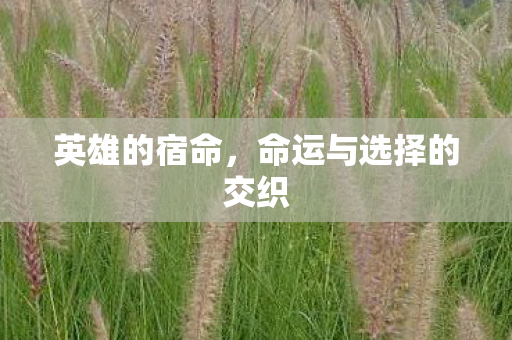 命运与选择的交织图片