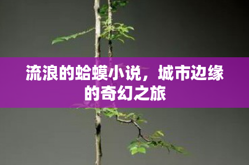 城市边缘的奇幻之旅图片