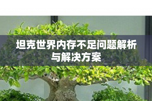 坦克世界内存不足问题解析与解决方案图片