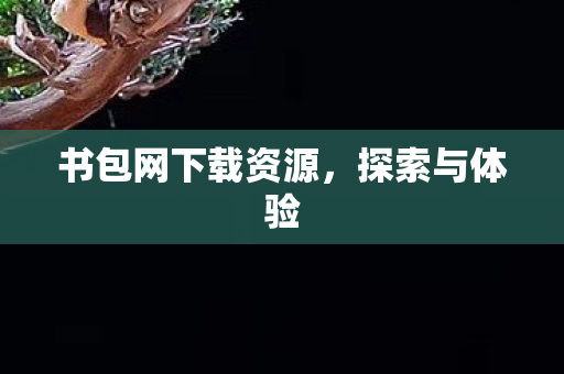 书包网下载资源图片