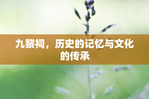 历史的记忆与文化的传承图片