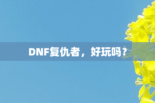 DNF复仇者图片