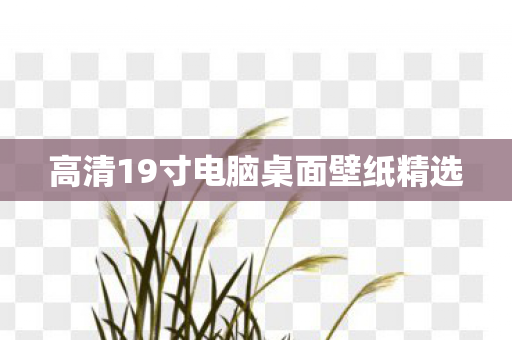 高清19寸电脑桌面壁纸精选图片