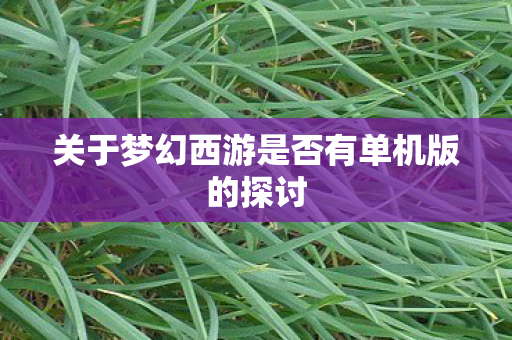 关于梦幻西游是否有单机版的探讨图片