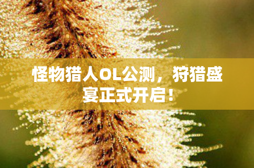 怪物猎人OL公测图片